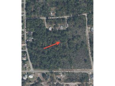 Lake Grassy Lot For Sale in Lake Placid Florida