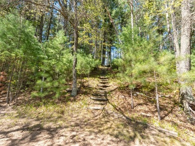 Tucked beneath a canopy of mature Northwoods hardwoods and pines - photo 11