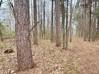 Tucked beneath a canopy of mature Northwoods hardwoods and pines - photo 12