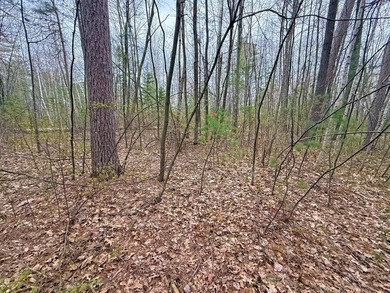 Tucked beneath a canopy of mature Northwoods hardwoods and pines - photo 13
