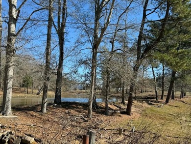 Great opportunity in a very high traffic area. This land would - photo 14