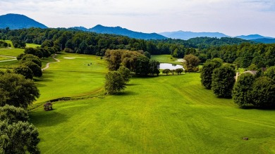 Build Your Dream Home in Mountain Harbour! This beautiful lot is - photo 14