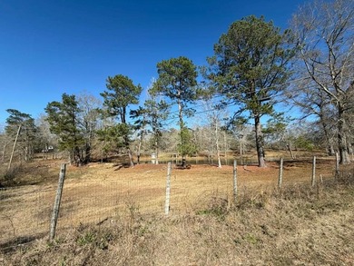 Great opportunity in a very high traffic area. This land would - photo 16
