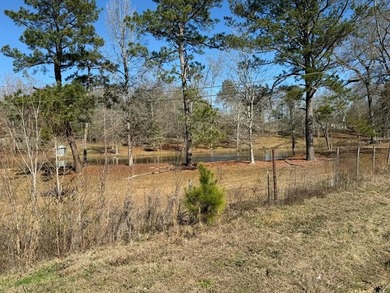 Great opportunity in a very high traffic area. This land would - photo 17