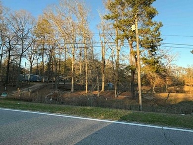 Great opportunity in a very high traffic area. This land would - photo 22