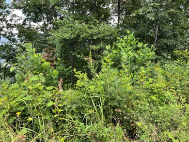 Build Your Dream Home in Mountain Harbour! This beautiful lot is - photo 36