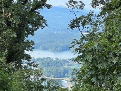 Build Your Dream Home in Mountain Harbour! This beautiful lot is - photo 37