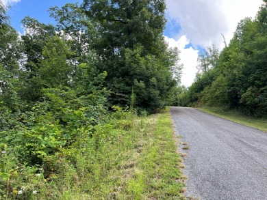 Build Your Dream Home in Mountain Harbour! This beautiful lot is - photo 38