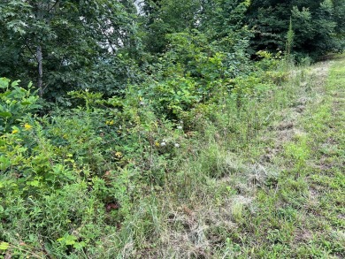 Build Your Dream Home in Mountain Harbour! This beautiful lot is - photo 41