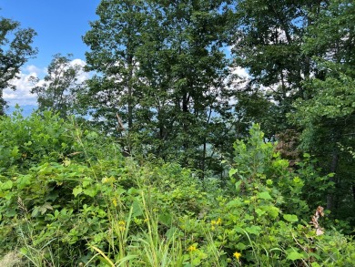 Build Your Dream Home in Mountain Harbour! This beautiful lot is - photo 42