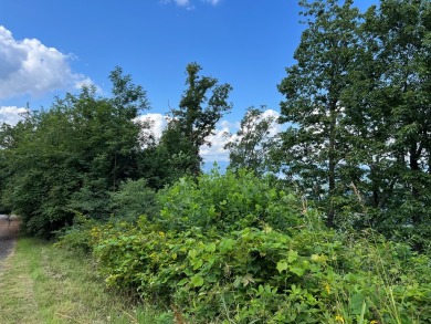 Build Your Dream Home in Mountain Harbour! This beautiful lot is - photo 44
