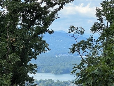 Build Your Dream Home in Mountain Harbour! This beautiful lot is - photo 45
