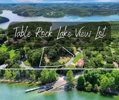 Table Rock Lake Lot For Sale in Blue Eye Missouri