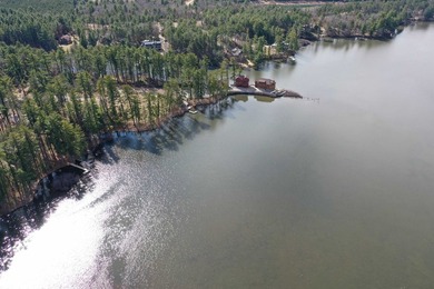 Lot 16, a buildable wooded lot on Nepco Lake, Central Wis. Build - photo 8