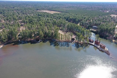 Lot 16, a buildable wooded lot on Nepco Lake, Central Wis. Build - photo 10