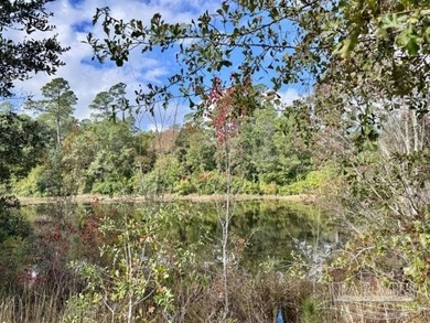 19.36 Acres in Milton. Zoned AG-RR. 0.5 miles from I-10 w/ 430ft - photo 5