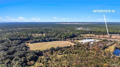19.36 Acres in Milton. Zoned AG-RR. 0.5 miles from I-10 w/ 430ft - photo 6