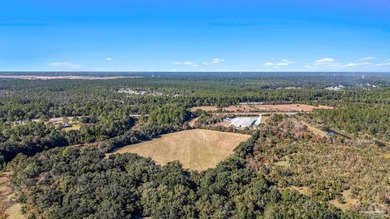 19.36 Acres in Milton. Zoned AG-RR. 0.5 miles from I-10 w/ 430ft - photo 7