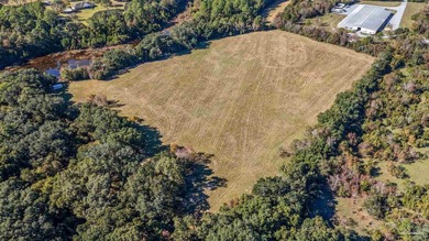 19.36 Acres in Milton. Zoned AG-RR. 0.5 miles from I-10 w/ 430ft - photo 8