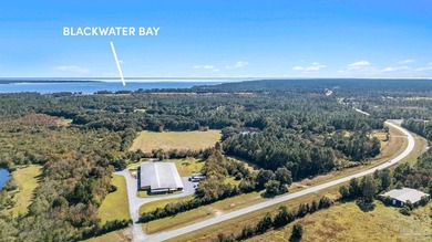 19.36 Acres in Milton. Zoned AG-RR. 0.5 miles from I-10 w/ 430ft - photo 10