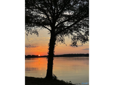 Lake Lot For Sale in Cedar Bluff, Alabama