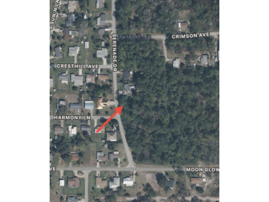 Lake Grassy Lot For Sale in Lake Placid Florida