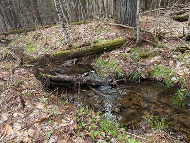 Discover a rare opportunity to own 173+/- acres of diverse - photo 22