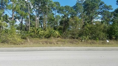 PRIME CORNER LOT FOR OFFICE BLDG. MEDICAL, WORSHIP CTR. & - photo 4