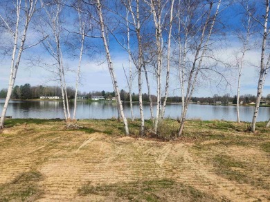 Lake Lot For Sale in Lake, Michigan