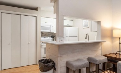 Best Value Beach View on North Padre! Don't miss the least - photo 3