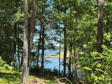 Experience lake living at its best in this brand-new home in the - photo 21