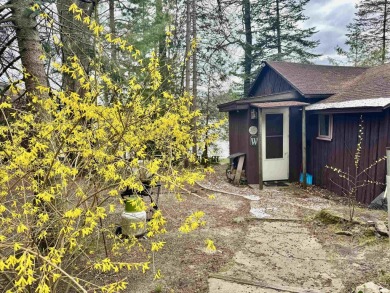 Lake Home For Sale in Harrison, Michigan