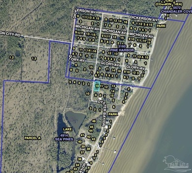 Sea Pines is a planned community on the east side of the Garcon - photo 3