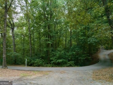 Lake Lot For Sale in Lavonia, Georgia