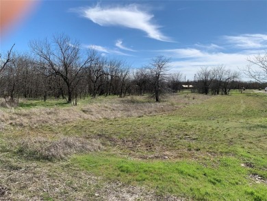 Lake Lot For Sale in Bridgeport, Texas
