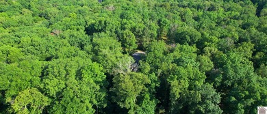 Welcome to your private retreat near Kentucky Lake! Located just - photo 33