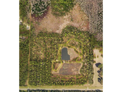 (private lake, pond, creek) Acreage For Sale in Eustis Florida
