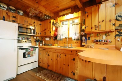 Charming Schroon Lakefront Chalet! Step back into Adirondack - photo 12