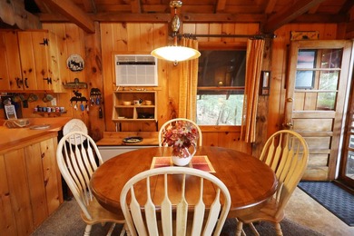 Charming Schroon Lakefront Chalet! Step back into Adirondack - photo 14