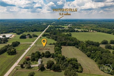 If you're looking for the perfect blend of open pasture and - photo 19