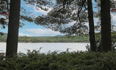 Charming Schroon Lakefront Chalet! Step back into Adirondack - photo 27