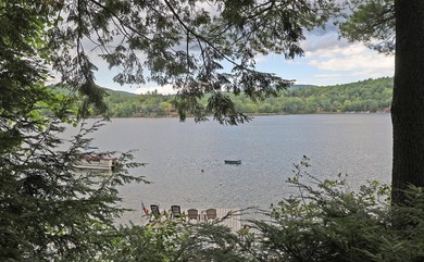 Charming Schroon Lakefront Chalet! Step back into Adirondack - photo 28
