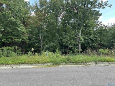 Lake Lot For Sale in Guntersville, Alabama