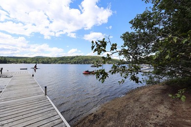 Charming Schroon Lakefront Chalet! Step back into Adirondack - photo 40