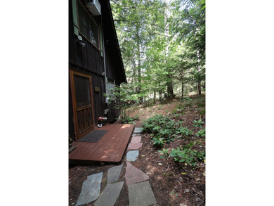 Charming Schroon Lakefront Chalet! Step back into Adirondack - photo 47
