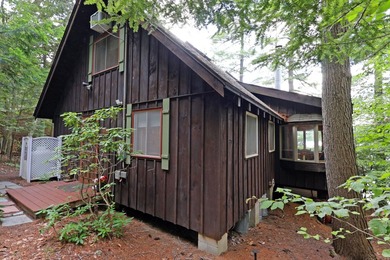 Charming Schroon Lakefront Chalet! Step back into Adirondack - photo 48