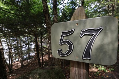Charming Schroon Lakefront Chalet! Step back into Adirondack - photo 49