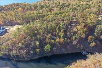 Discover a rare opportunity to own 1.21 +/- acres of lakefront - photo 10