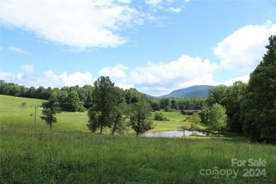 Lake Acreage Sale Pending in Hendersonville, North Carolina