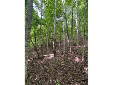 Located just north of Bruce, this 39 acre tract offers a strong - photo 13